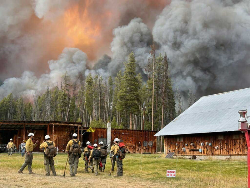 January 2025 - Conifer, CO